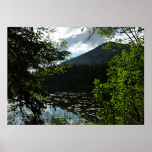 Johns Lake I im Glacier-Nationalpark Poster
