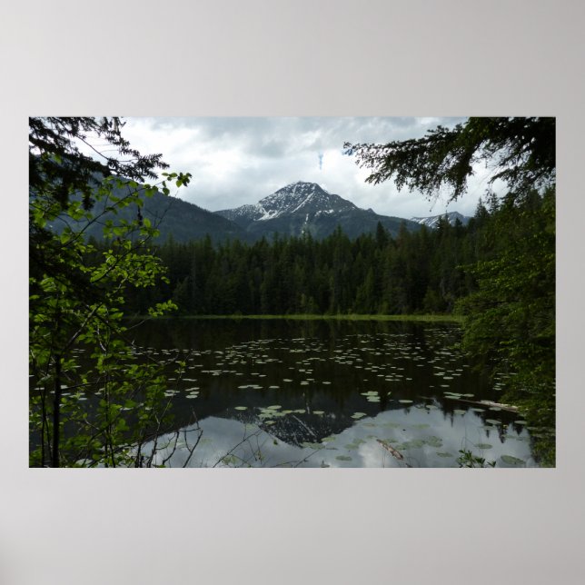 Johns Lake II am Glacier National Park Poster (Vorne)