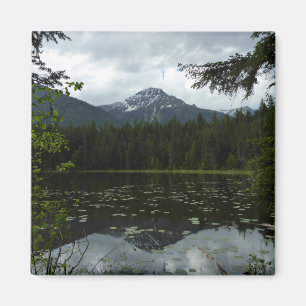 Johns Lake II im Glacier-Nationalpark Magnet