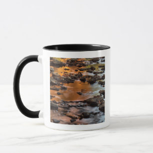 Johnson County, Leawood, Tomahawk Creek Tasse