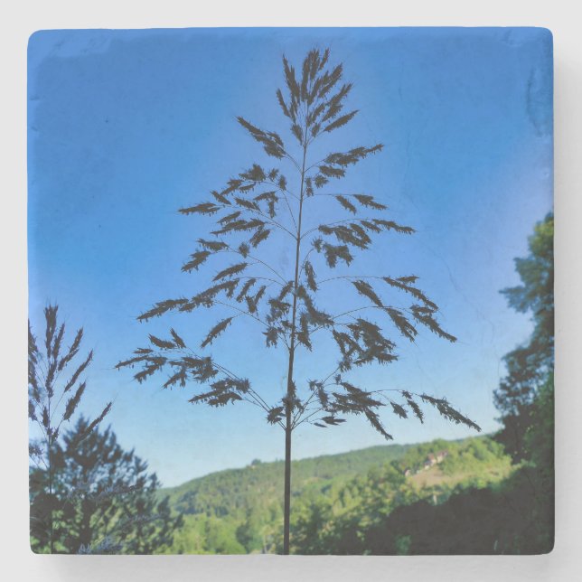 Johnson Grass Steinuntersetzer (Vorderseite)