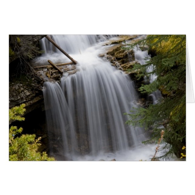 Johnston Canyon Waterfall (Vorderseite (Horizontal))