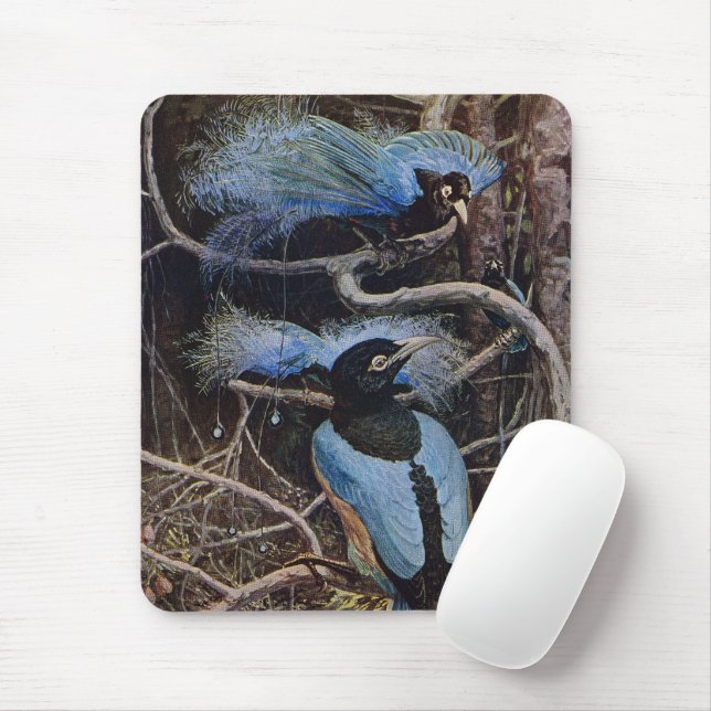 Johnston Vintage Blue Bird Paradise Illustration Mousepad (Mit Mouse)