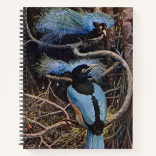 Johnston Vintage Blue Bird Paradise Illustration Notizbuch