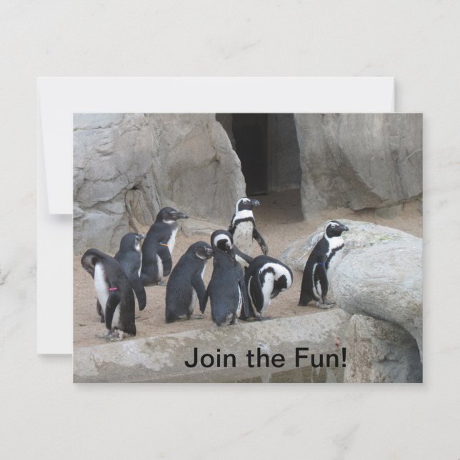 Join Pinguins Party Einladung (Vorderseite)