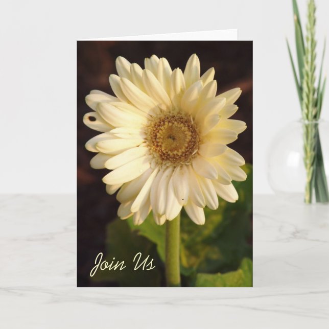 Join Us Einladung (Vorderseite)