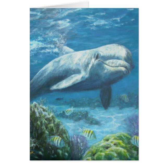 jojopaintings (Vorne)