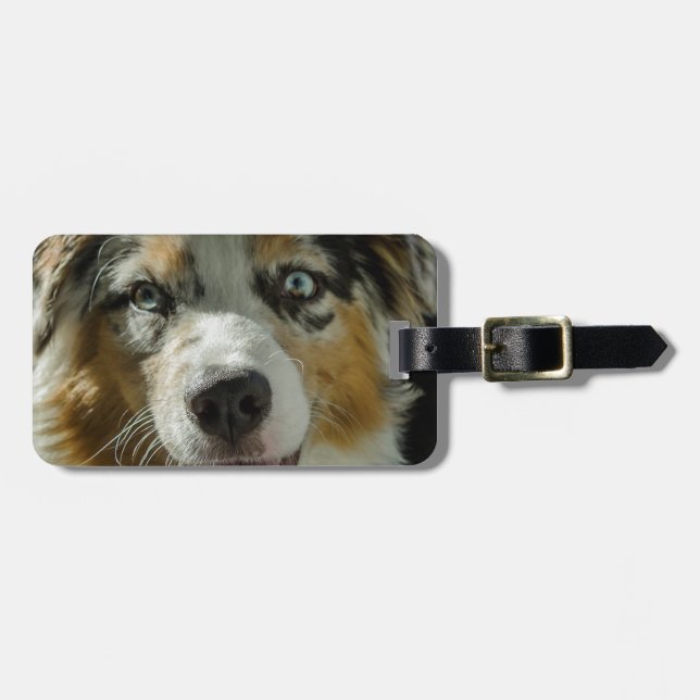 Joker-Junge Gepäckanhänger (Vorderseite horizontal)