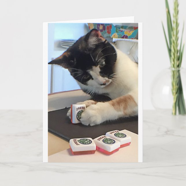 Joker-Katze Milliamperestunde Jongg Notecard Karte (Vorderseite)