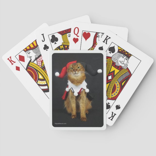 Joker-somalische Katzen-Spielkarten Spielkarten (Rückseite)