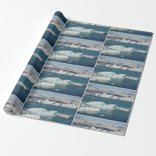 Jokulsarlon Island Packpapier