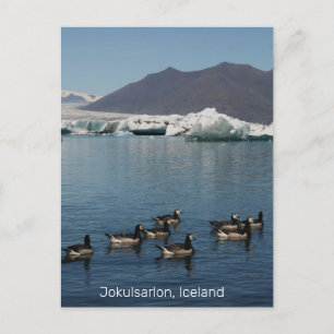Jokulsarlon Island Postcard Postkarte