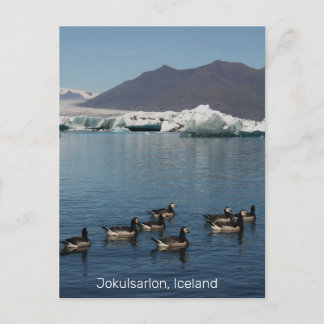 Jokulsarlon Island Postcard Postkarte