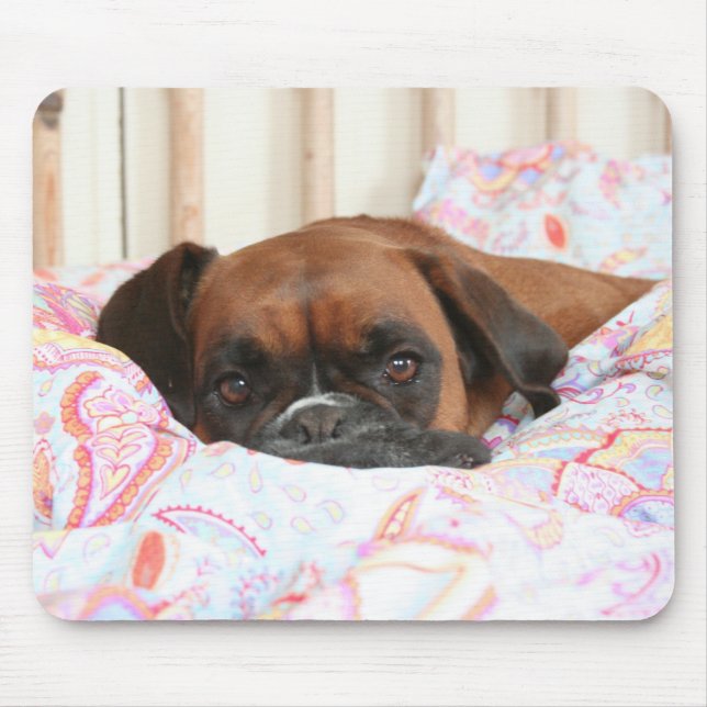 Jolie snuggled im Duvet Mousepad (Vorne)