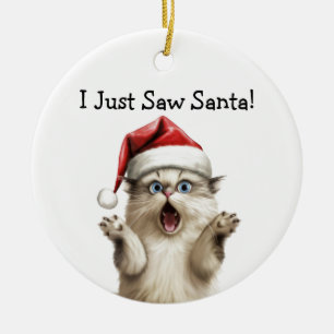 Jolly Feline Christmas Cat Ornament