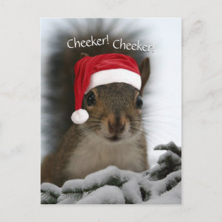 Jolly Squirrel Tragend Weihnachtsmannmütze ・ Santa Feiertagspostkarte