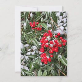 Jolly Winter Berry Weihnachtskarte