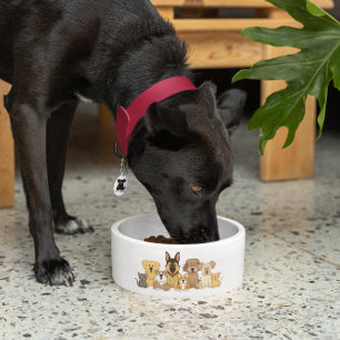 JollyKins Hunde und Katzen Napf