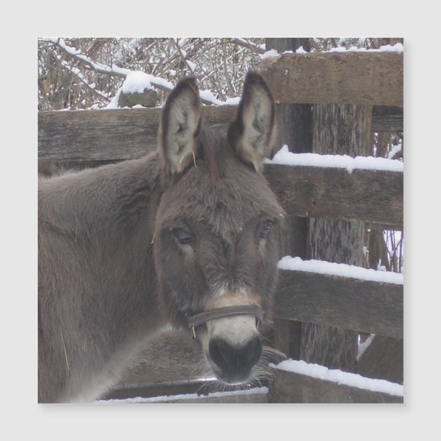 Jonathan Magnet (Vorderseite)