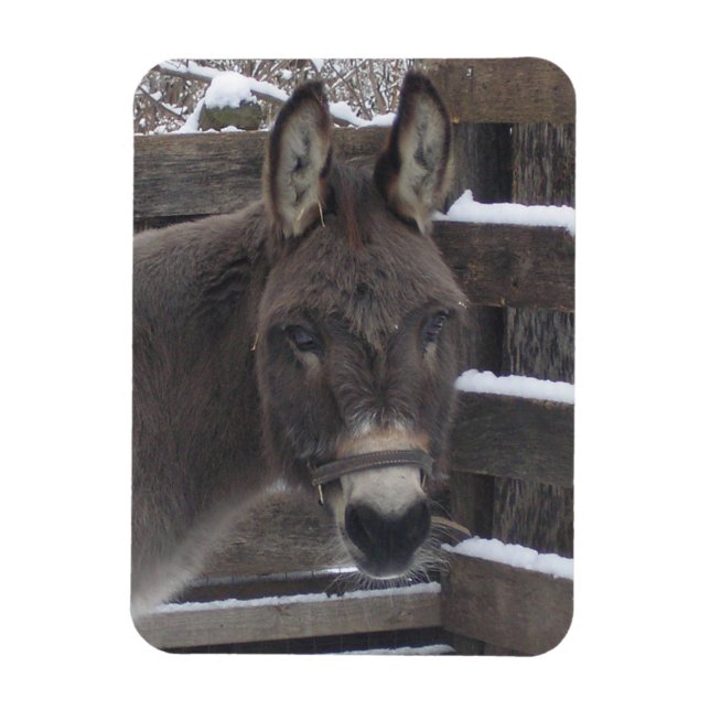 Jonathan Magnet (Vertikal)