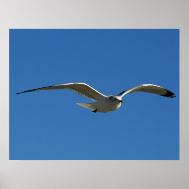 Jonathan Poster (Vorne)