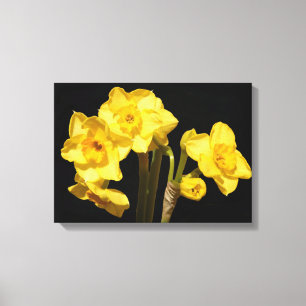Jonquil Blume Canvas Print Leinwanddruck