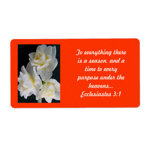 Jonquil Blume - Ecclesiastes 3:1