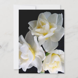 Jonquil Blume - Ecclesiastes 3:1