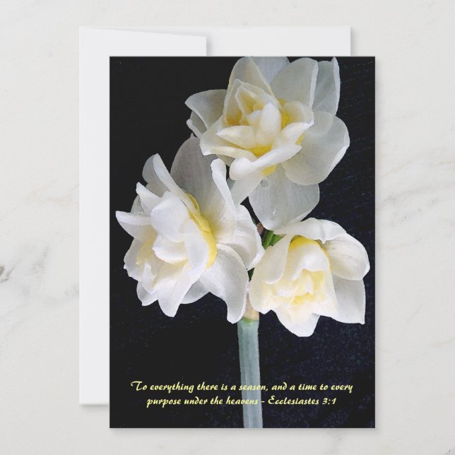 Jonquil Blume - Ecclesiastes 3:1 (Vorderseite)