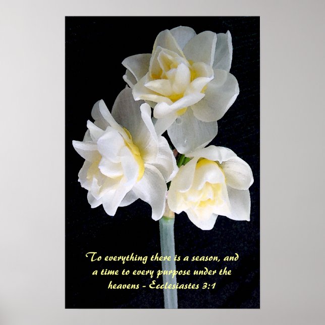 Jonquil Blume - Ecclesiastes 3:1 Poster (Vorne)