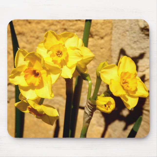 Jonquil Blumen-Mäusematte Mousepad (Vorne)