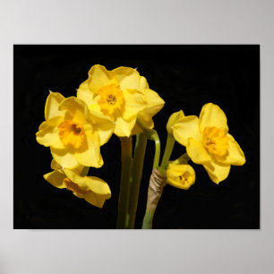 Jonquil Blumen-Plakat Poster