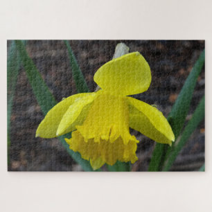Jonquil im Frühjahr Puzzle
