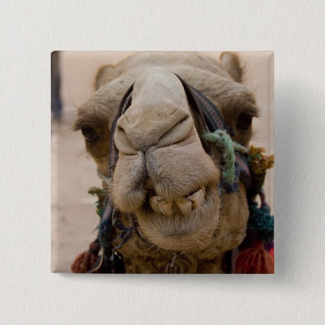 Jordanien, antike nabataische Stadt Petra Button (Vorderseite)