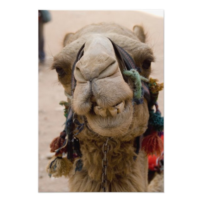 Jordanien, antike nabataische Stadt Petra Fotodruck (Vorne)