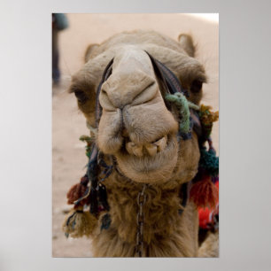 Jordanien, antike nabataische Stadt Petra Poster