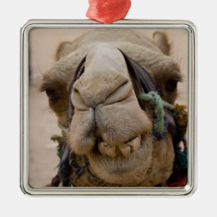 Jordanien, antike nabataische Stadt Petra Silbernes Ornament