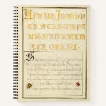 Joris Hoefnagel Beetlelike Insekten 1562
