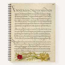 Joris Hoefnagel Pheasant's Eye and Buttercup 1562