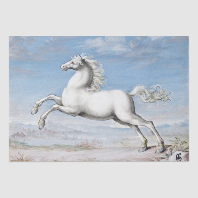Joris Hoefnagel | Weißes Pferd - 1552 und 1601 Seidenpapier (Vorderseite)