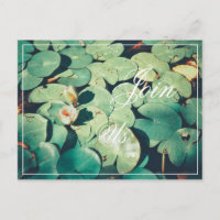 Jos Green Blätter Water Lily Blume Postcard