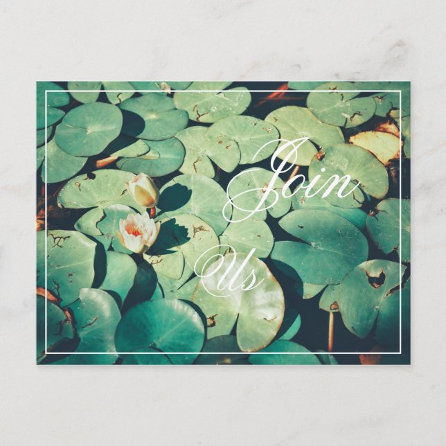 Jos Green Blätter Water Lily Blume Postcard Postkarte (Vorderseite)