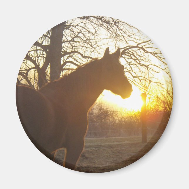 Jose benito magnet (Vorne)