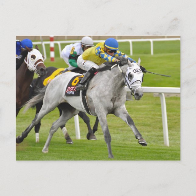 Jose Ortiz auf Schnell und präzise Postkarte (Vorderseite)