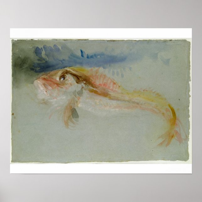 Joseph Mallord William Turner | A Gurnard Poster (Vorne)