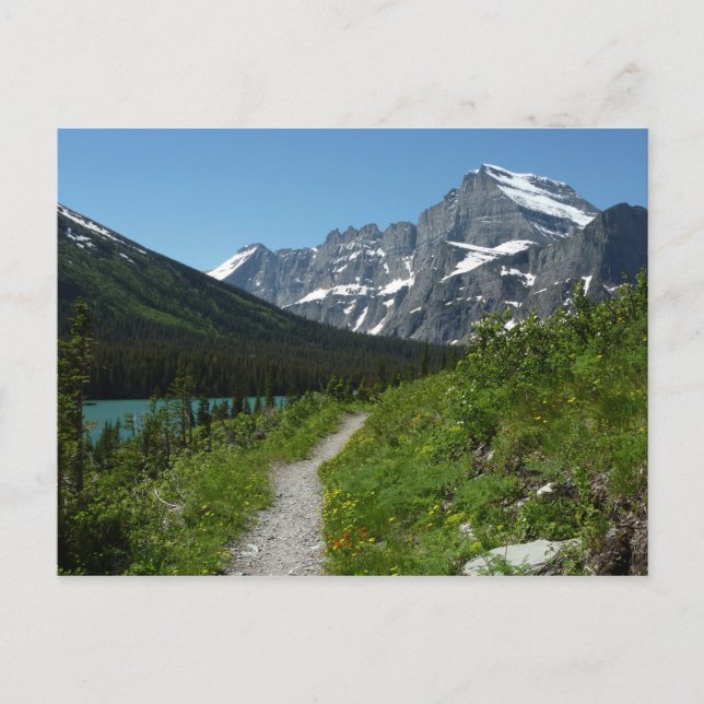 Josephine Lake Trail mit Monte Guild am Gletscher Postkarte (Vorderseite)
