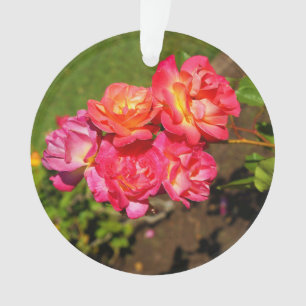 Joseph's Coat Rose #1 Ornament