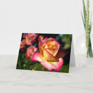 Joseph's Coat Rose Scripture Card Isaiah 26:3 Karte