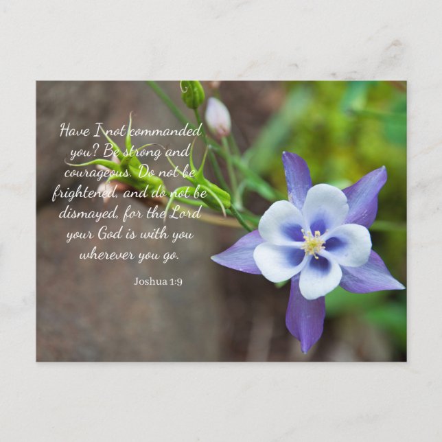 Joshua 1:9 Lila Columbine Blume Postcard Postkarte (Vorderseite)