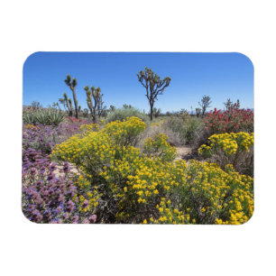 Joshua-Baum-Nationalpark in Bloom Magnet